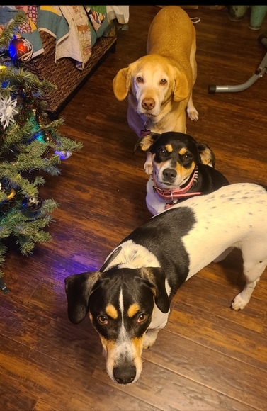 Meet your Posher, Jaime - Picture 2 of 2